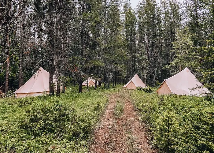 Wander Camp Glacier